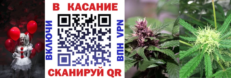 Магазины продажи наркотиков Волгоград СК  Марихуана  COCAIN 