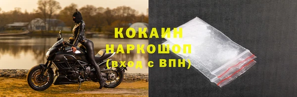 СК Алексин