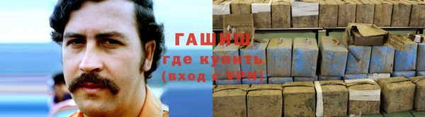 СК Алексин