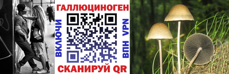 наркота  Волгоград  Галлюциногенные грибы прущие грибы 